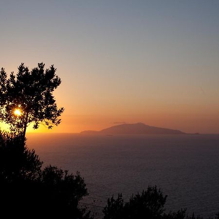Bed and Breakfast Il Giardino dell'Arte Anacapri  Esterno foto