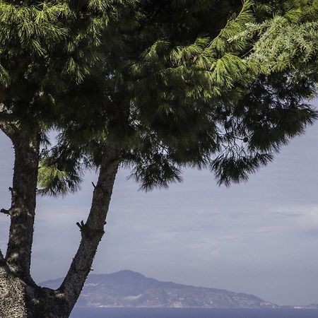 Bed and Breakfast Il Giardino dell'Arte Anacapri  Esterno foto