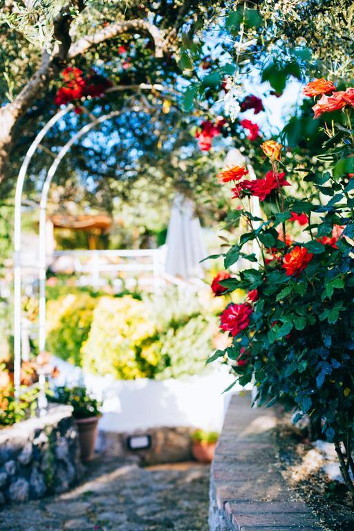 Bed and Breakfast Il Giardino dell'Arte Anacapri  Esterno foto