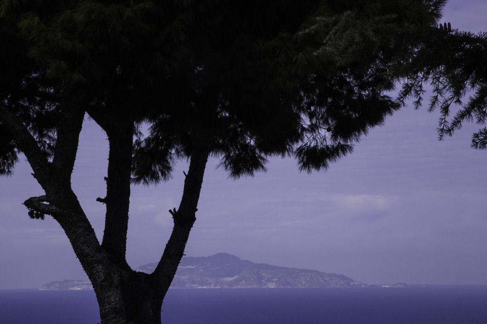 Bed and Breakfast Il Giardino dell'Arte Anacapri  Esterno foto