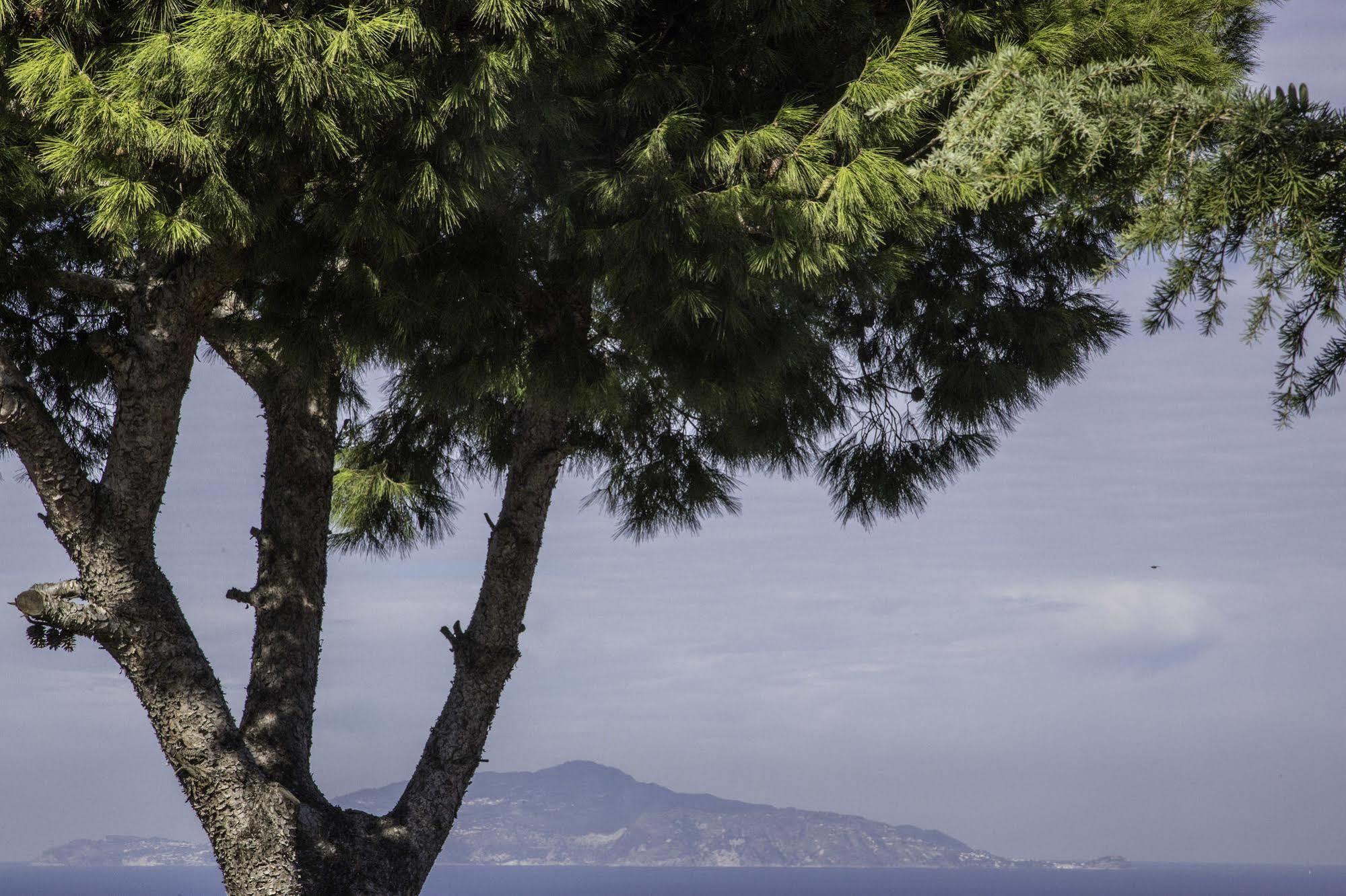 Bed and Breakfast Il Giardino dell'Arte Anacapri  Esterno foto