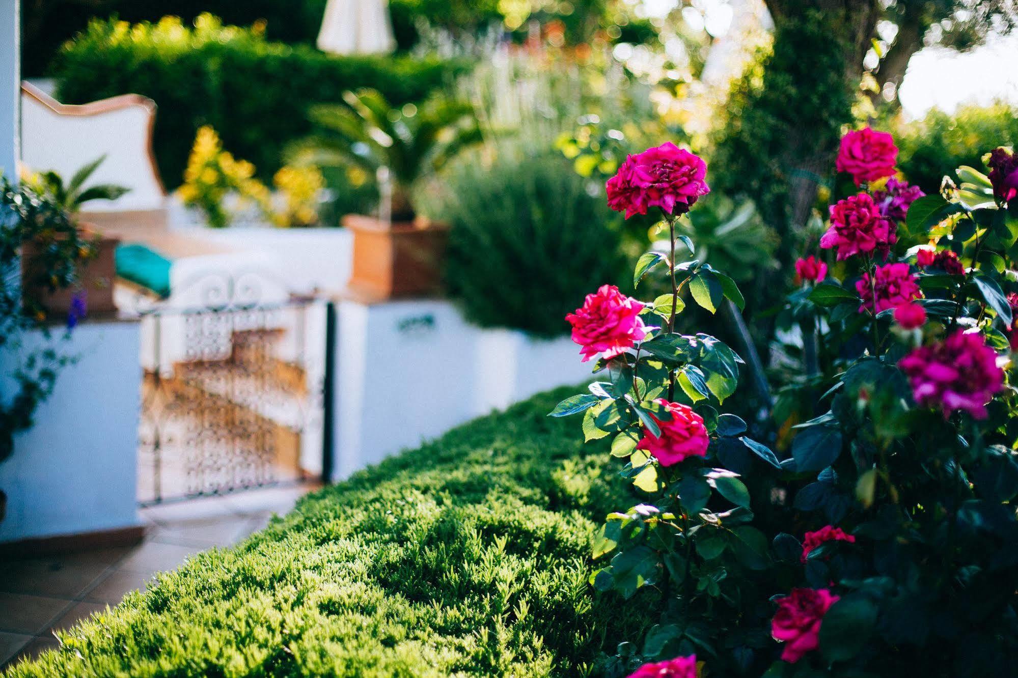 Bed and Breakfast Il Giardino dell'Arte Anacapri  Esterno foto