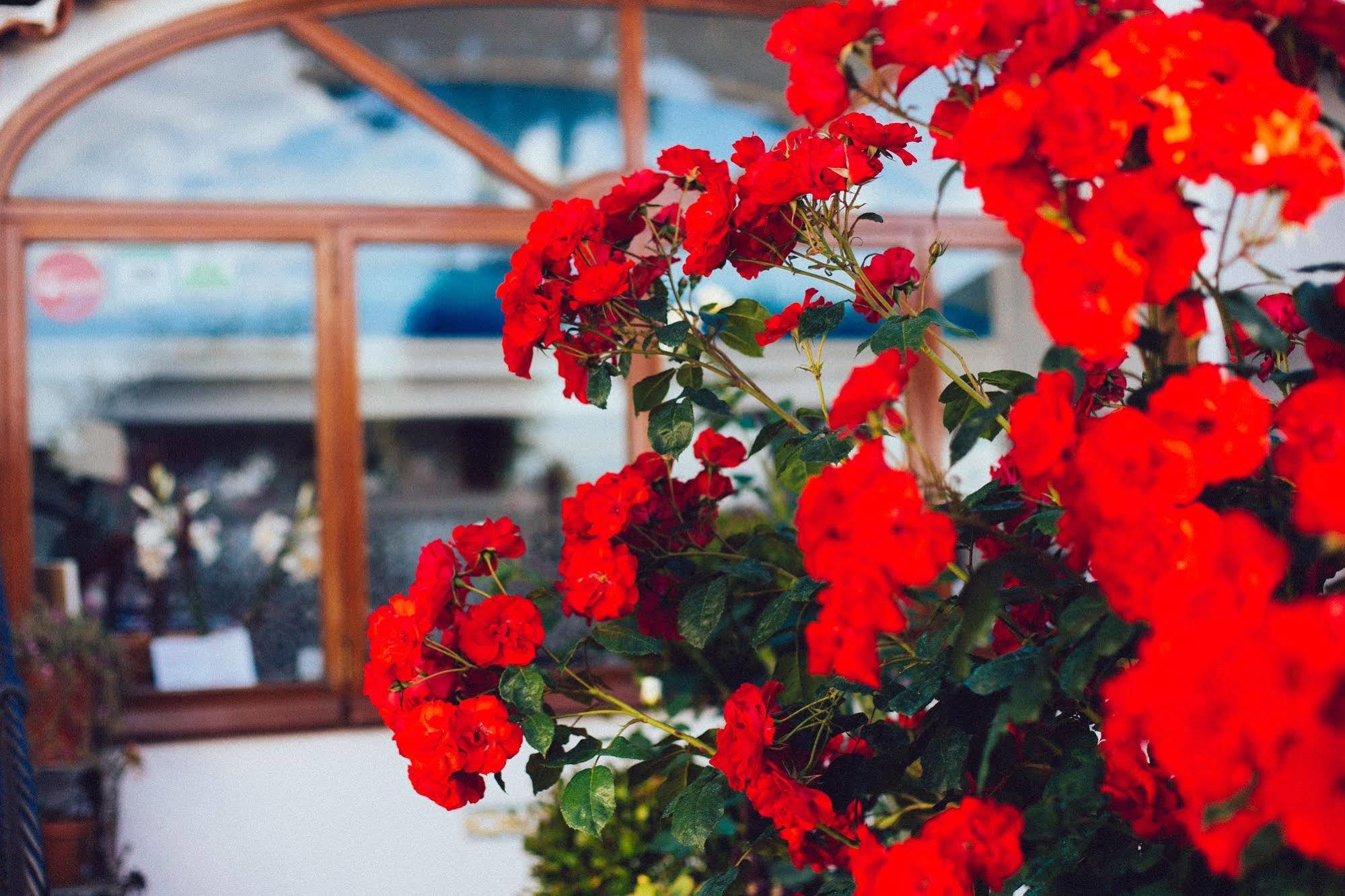 Bed and Breakfast Il Giardino dell'Arte Anacapri  Esterno foto