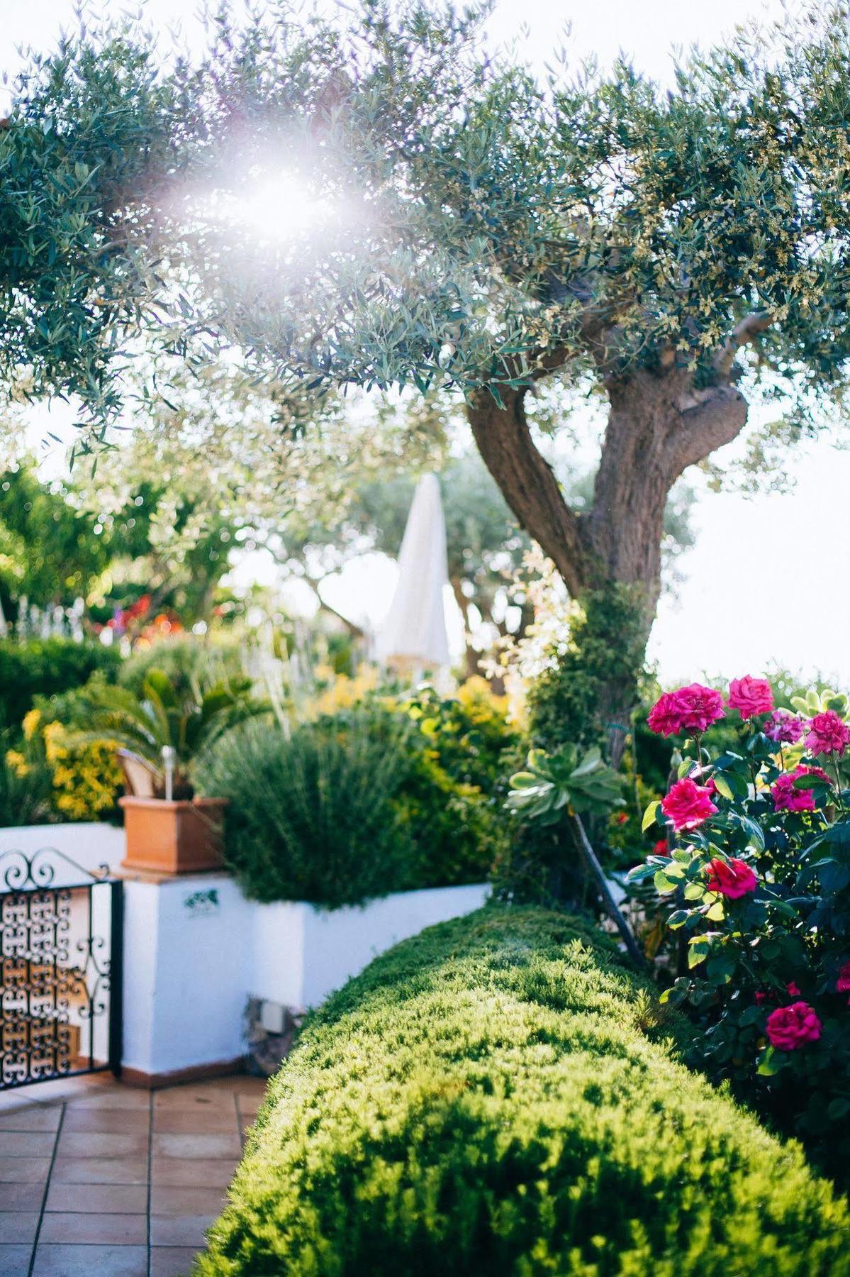 Bed and Breakfast Il Giardino dell'Arte Anacapri  Esterno foto
